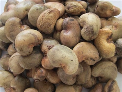 Raw Cashew Nut